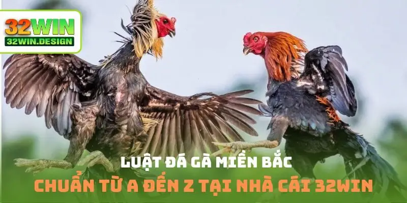 Luật đá gà miền Bắc
