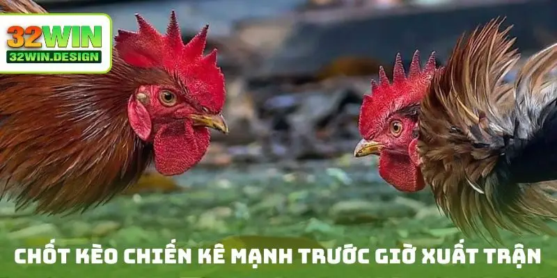 Chốt kèo chiến kê mạnh trước giờ xuất trận