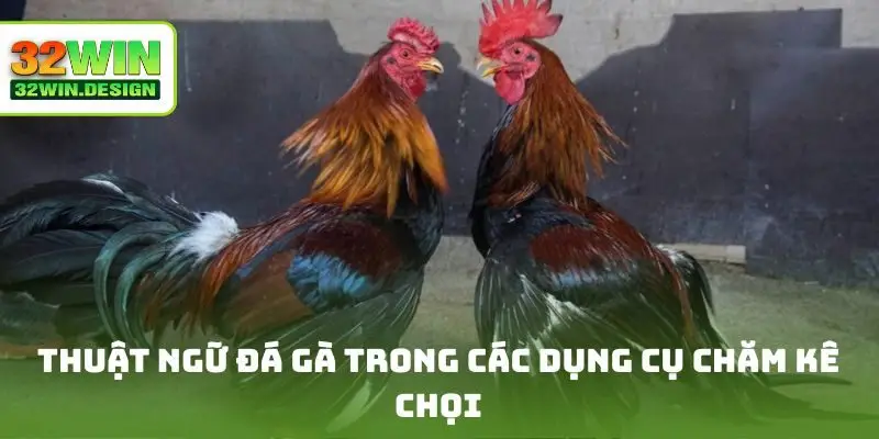 Thuật ngữ đá gà trong các dụng cụ chăm kê chọi