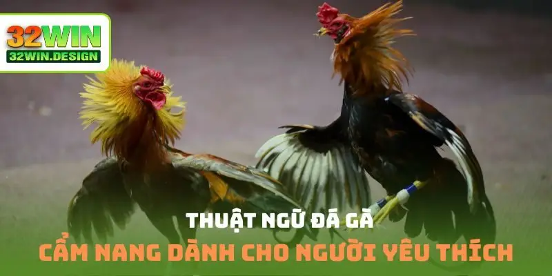 Thuật ngữ đá gà